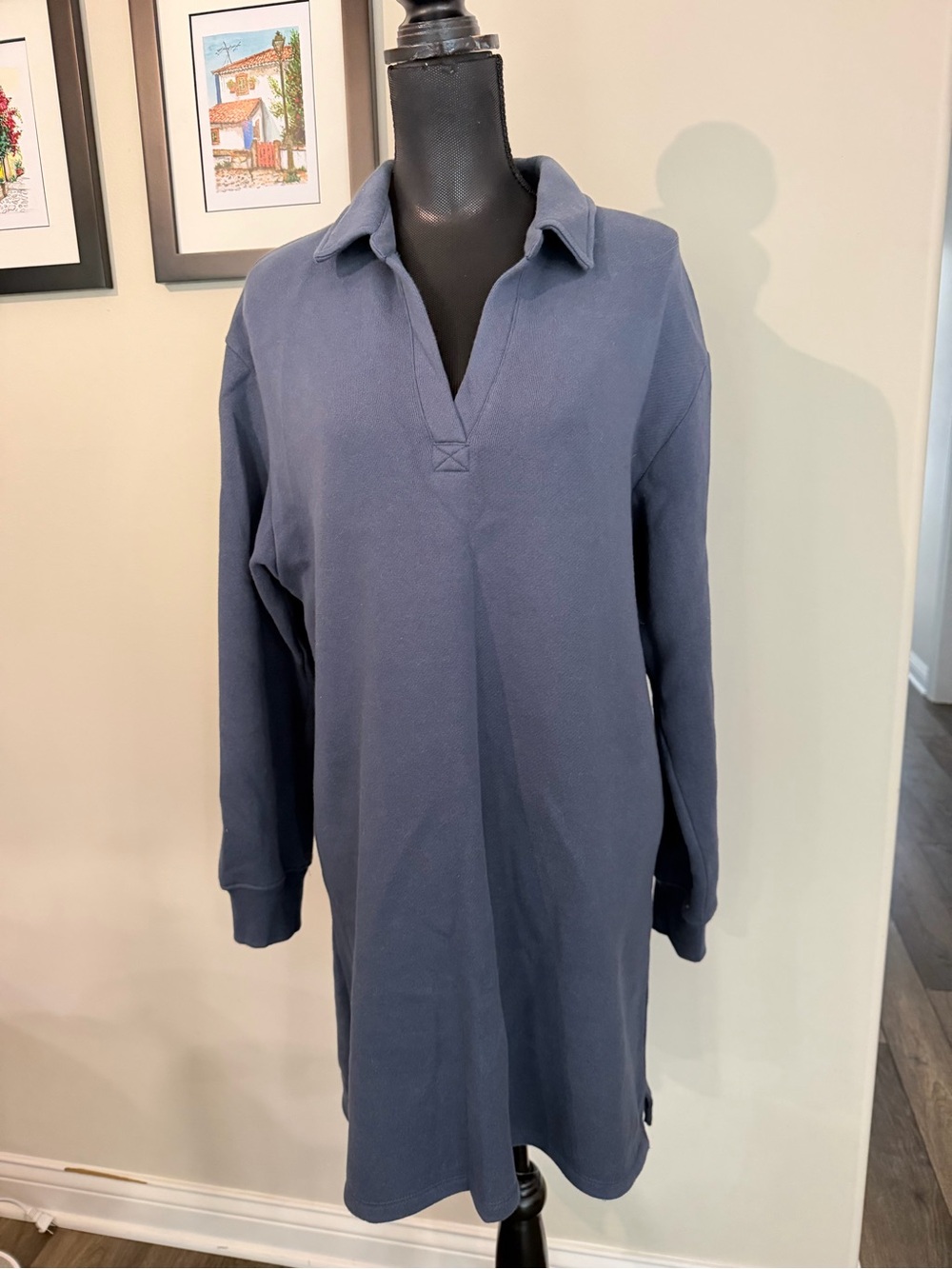 Z Supply Women’s Long-Sleeve Blue Mini Dress L